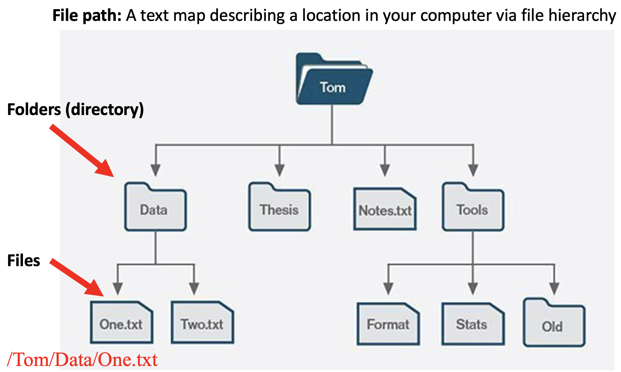 Learning Coding in R
