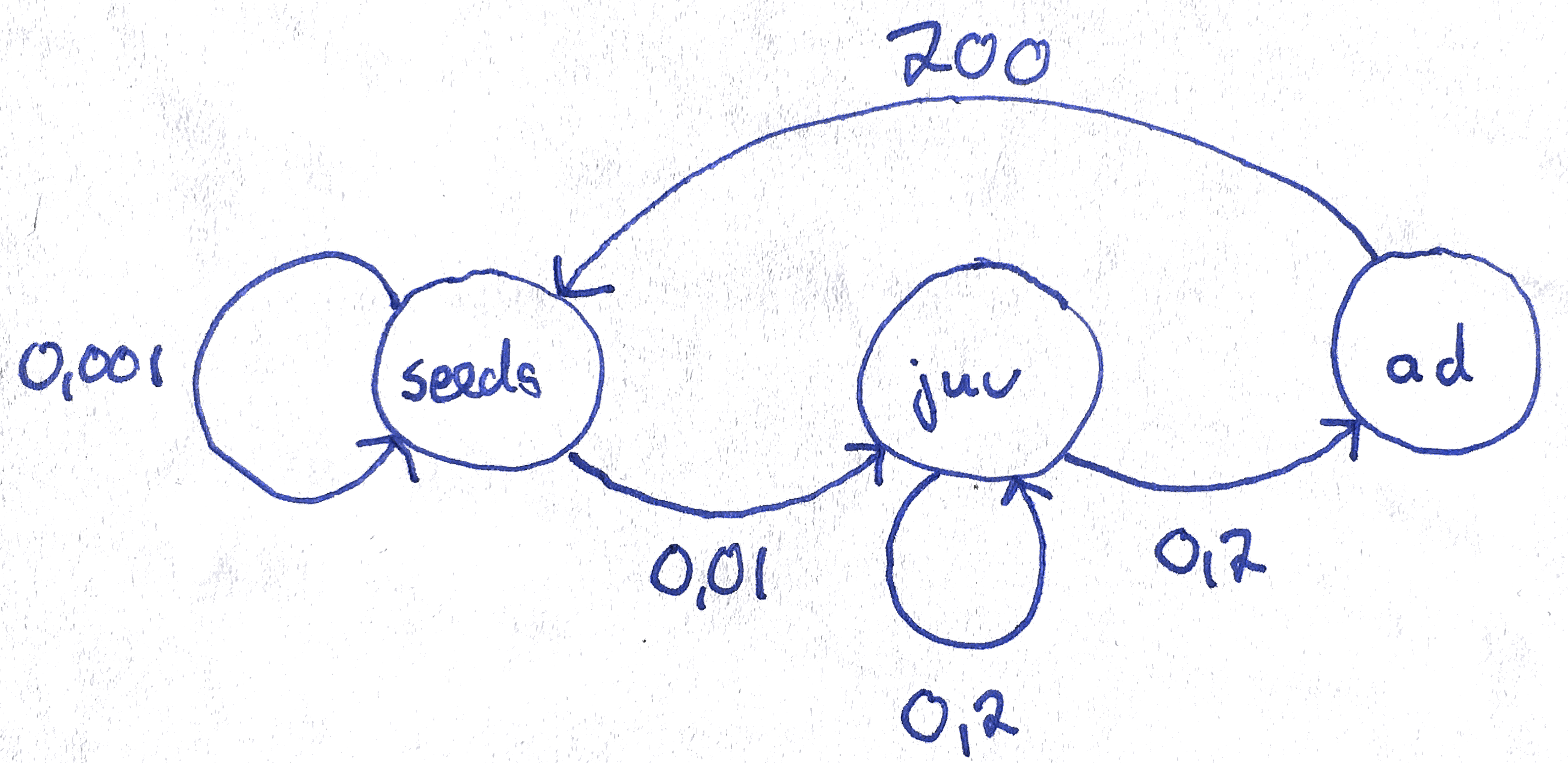 Life cycle graph
